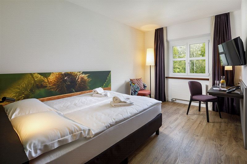 Hotel Bellinzona Sud: Behindertengerechtes Zimmer mit Queen Size Bett