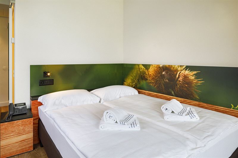 Hotel Bellinzona Sud: Behindertengerechtes Zimmer mit Queen Size Bett