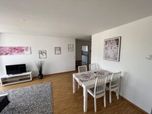 Herisau Apartments: Apartment Terra Olivia Essbereich