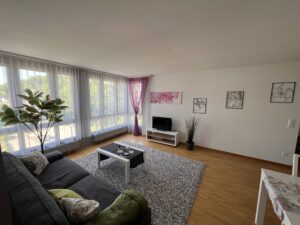 Herisau Apartments: Apartment Terra Olivia Wohnzimmer