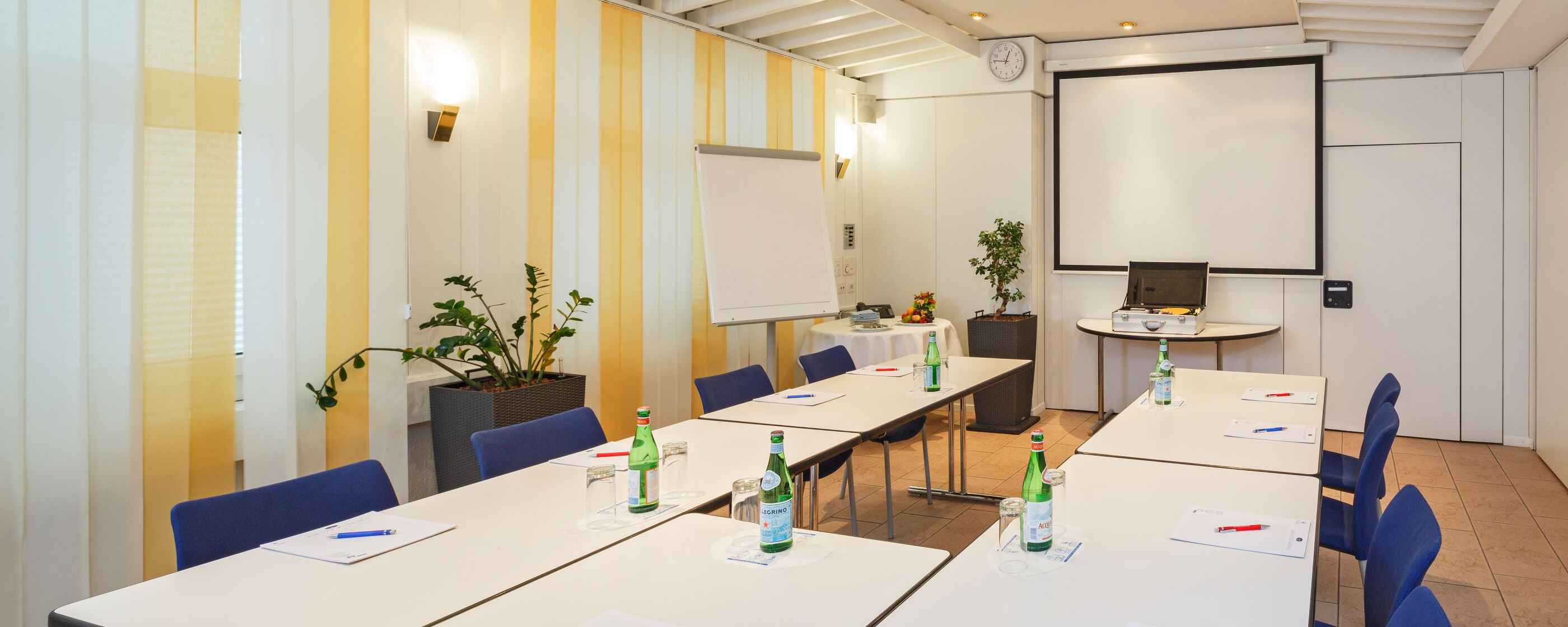 Hotel Sommerau-Ticino, Dietikon-Zürich: Seminarraum