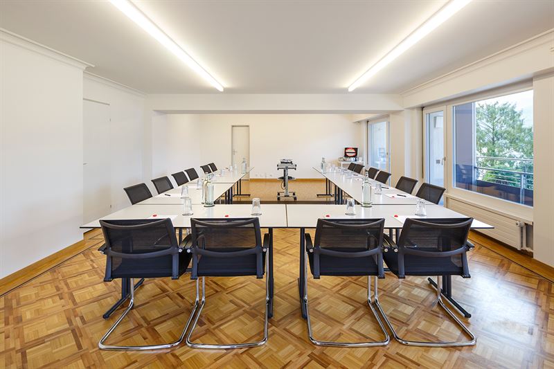 Hotel Seerausch, Beckenried: Seminarraum