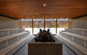 Hotel Rigi Kaltbad, Rigi: Wellness