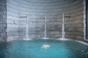 Hotel Rigi Kaltbad, Rigi: Wellness