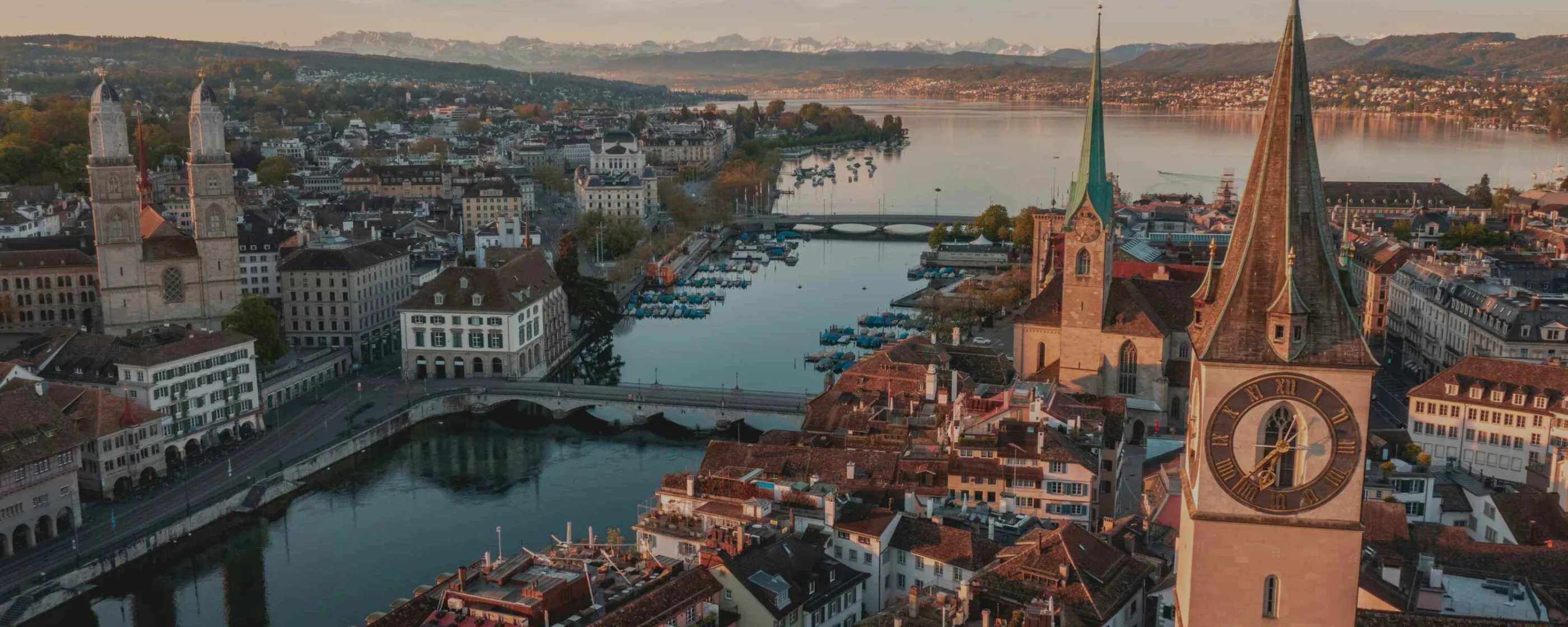 henrique-ferreira-6p-I-X-sPUY-unsplash