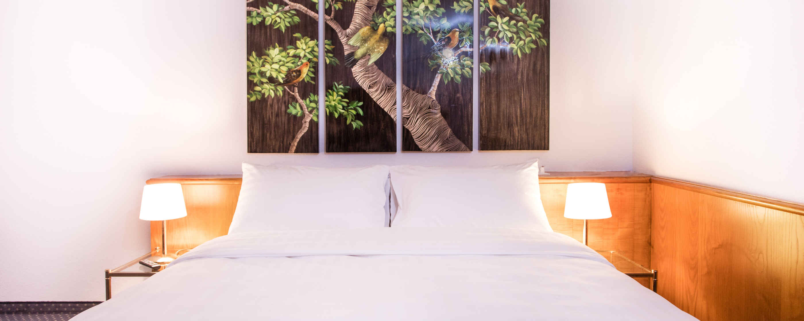 Hotel Sagitta, Genf: Executive