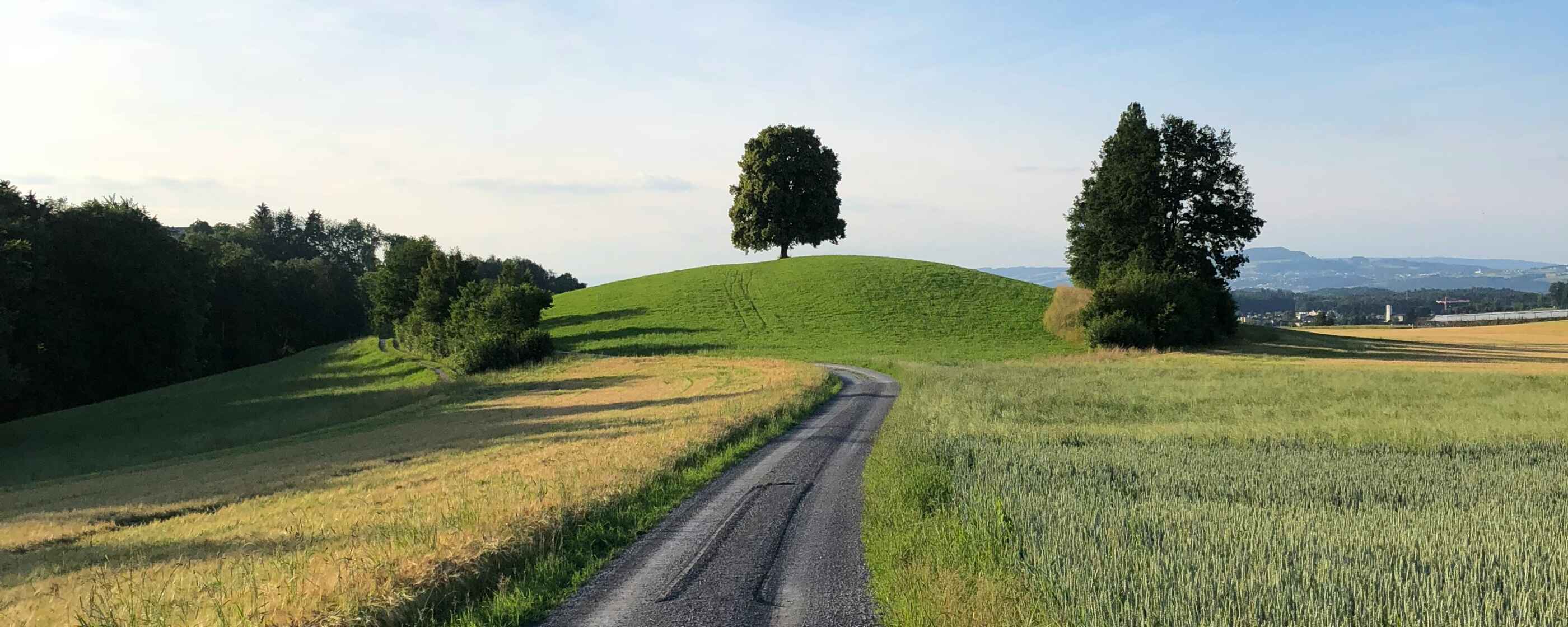 damian-stocker-AzlwS0d3Zi4-unsplash