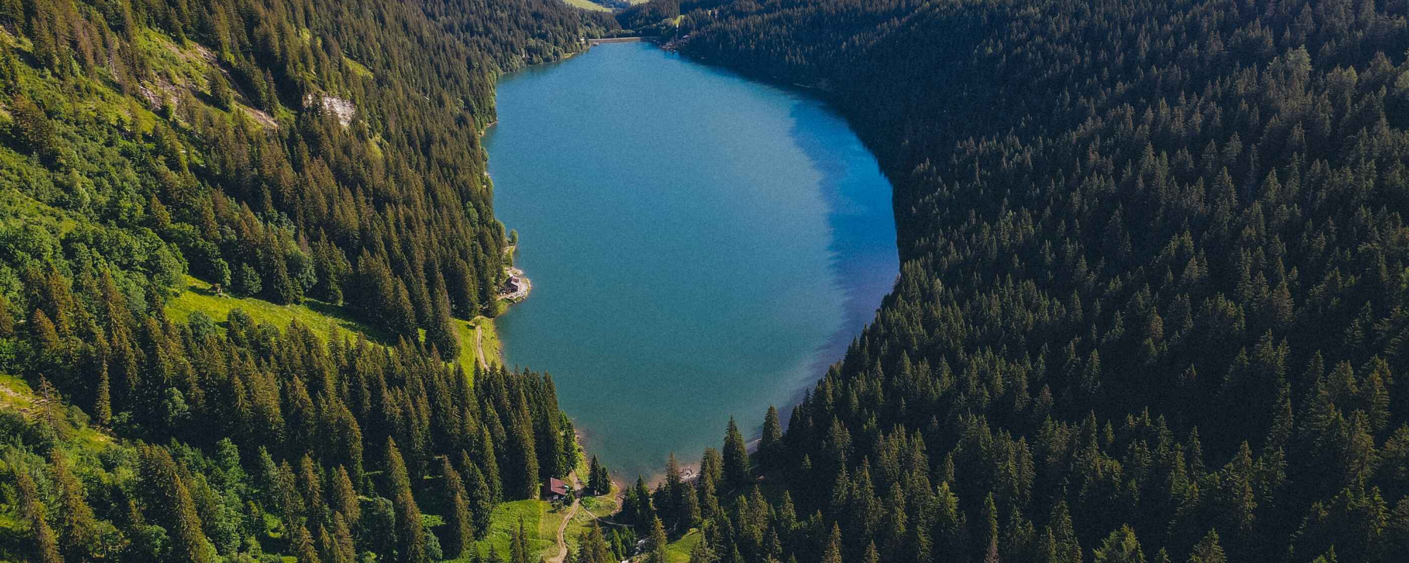 joaquim-Eo59O2GdipY-unsplash