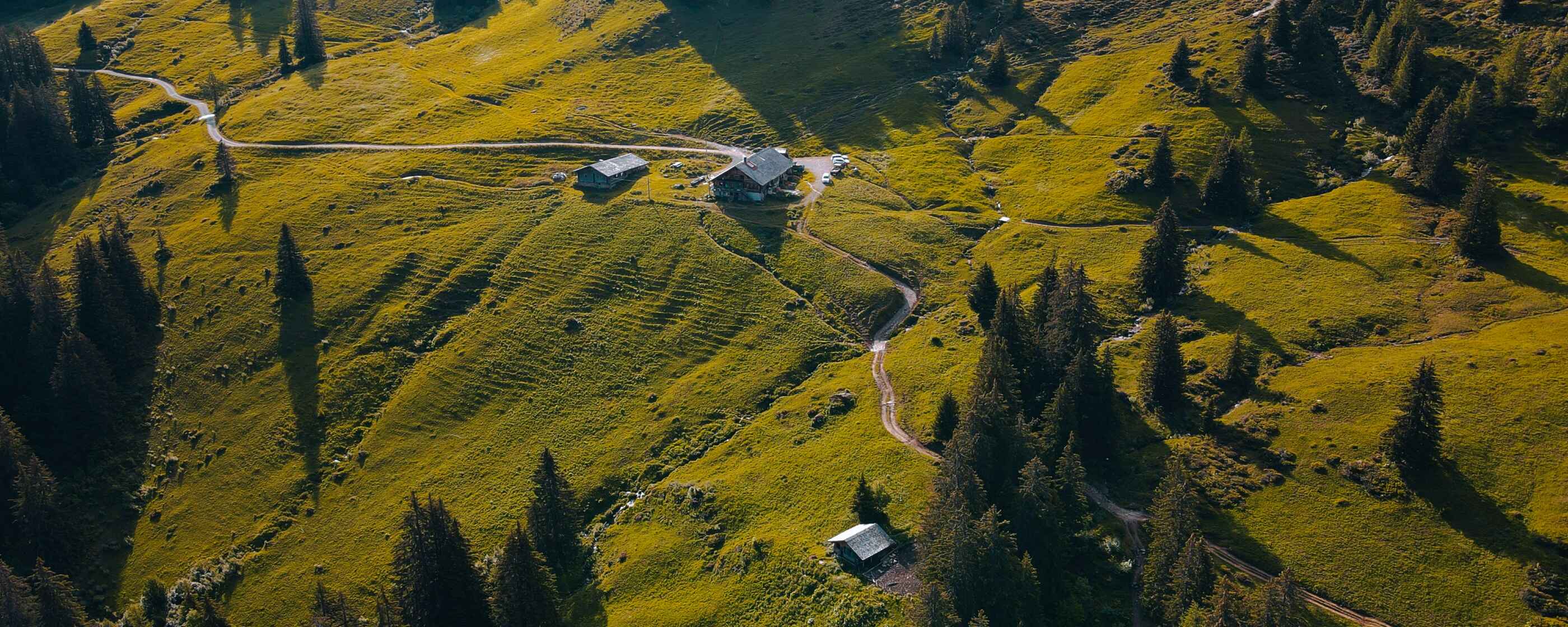 joaquim-_ZFqqdH7NHs-unsplash