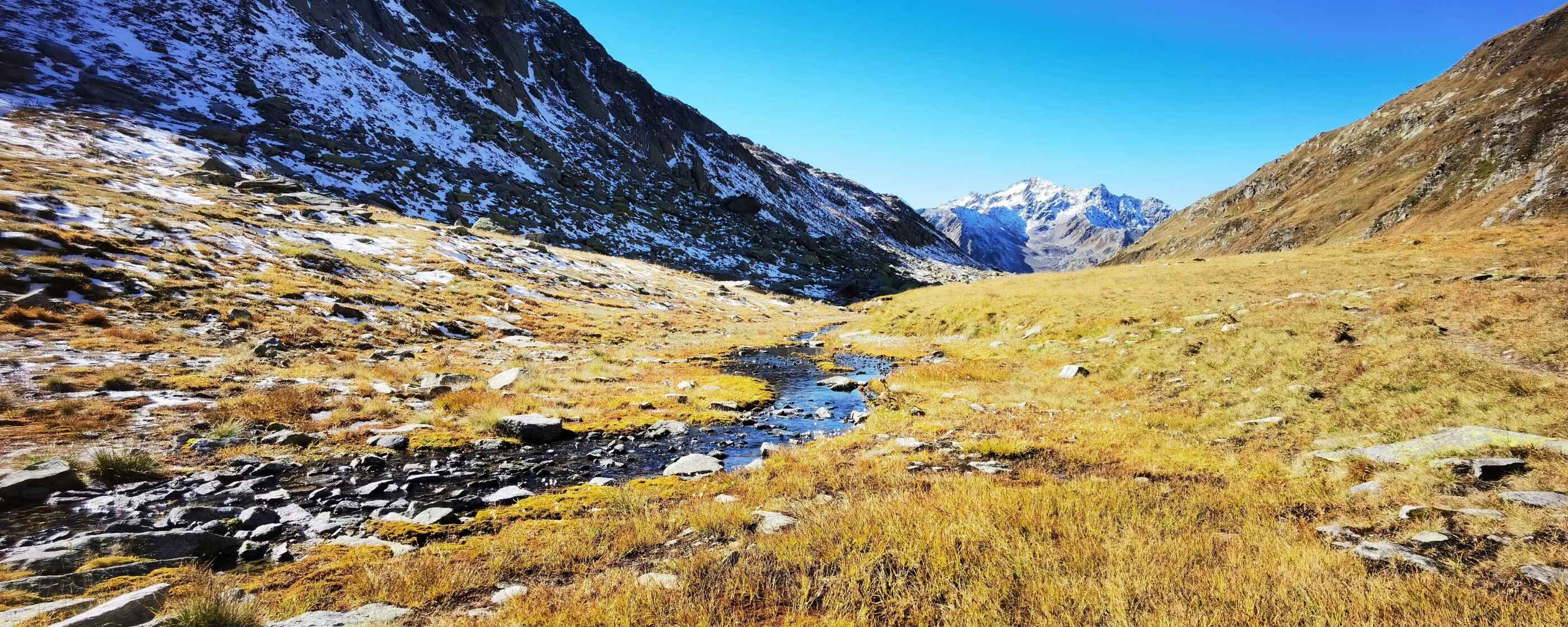 levon-guerel-sipMBU-LEWU-unsplash