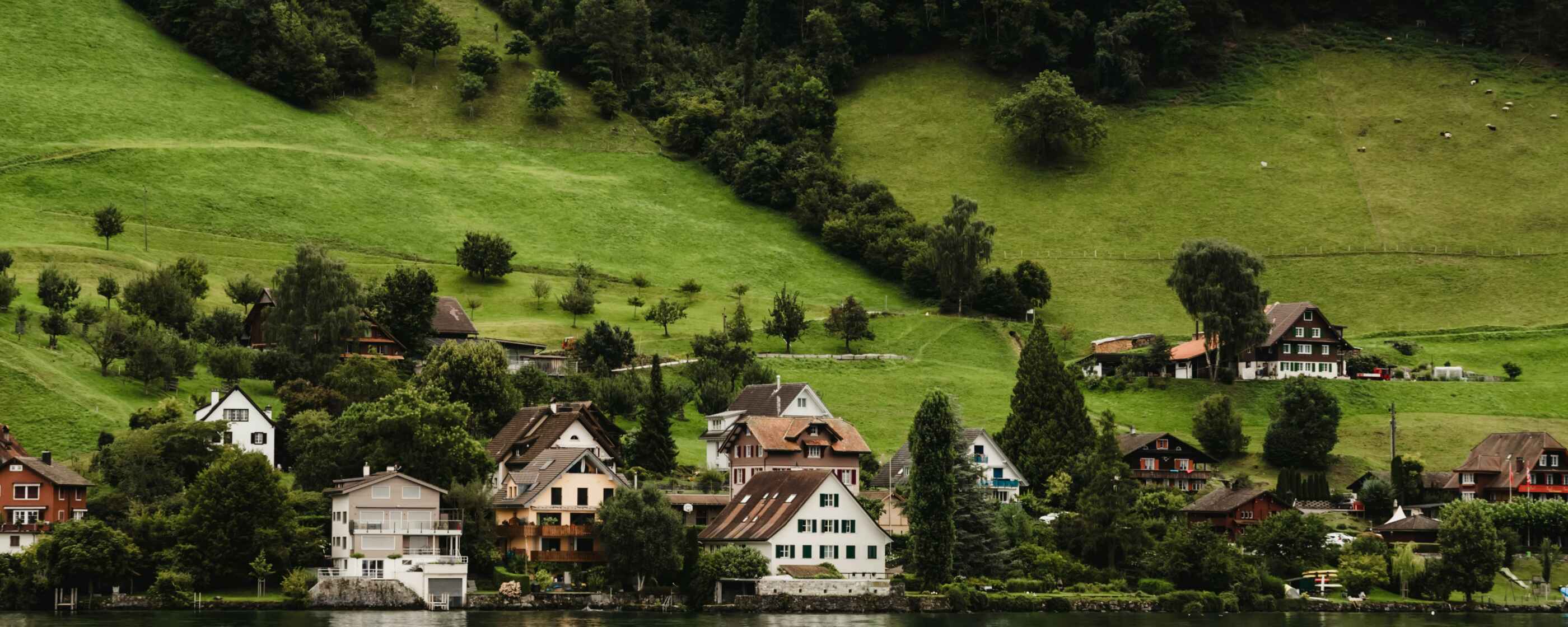 mae-black-OPBftdvh73w-unsplash