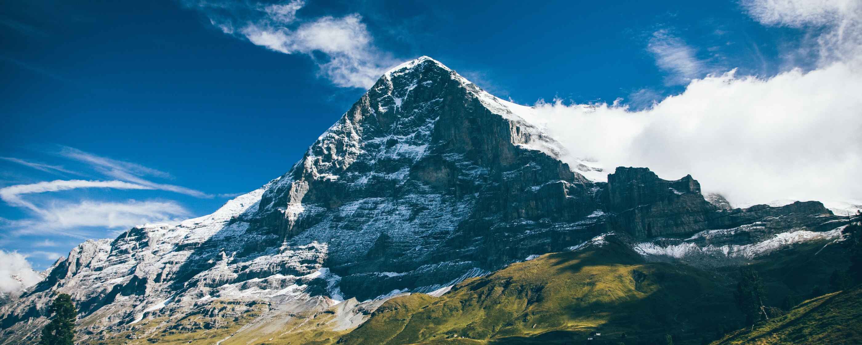 markus-spiske-FL2bYoX_7t8-unsplash