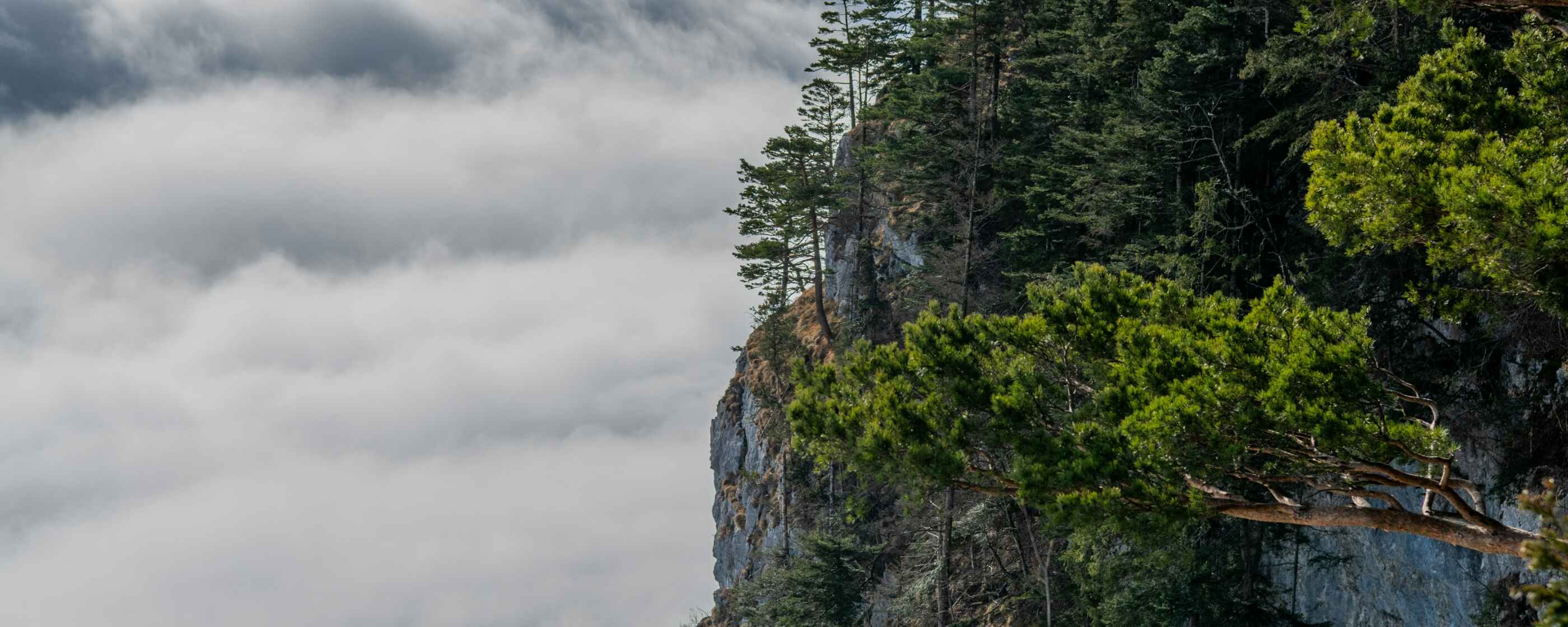 peter-wormstetter-JazAtC59r60-unsplash (1)