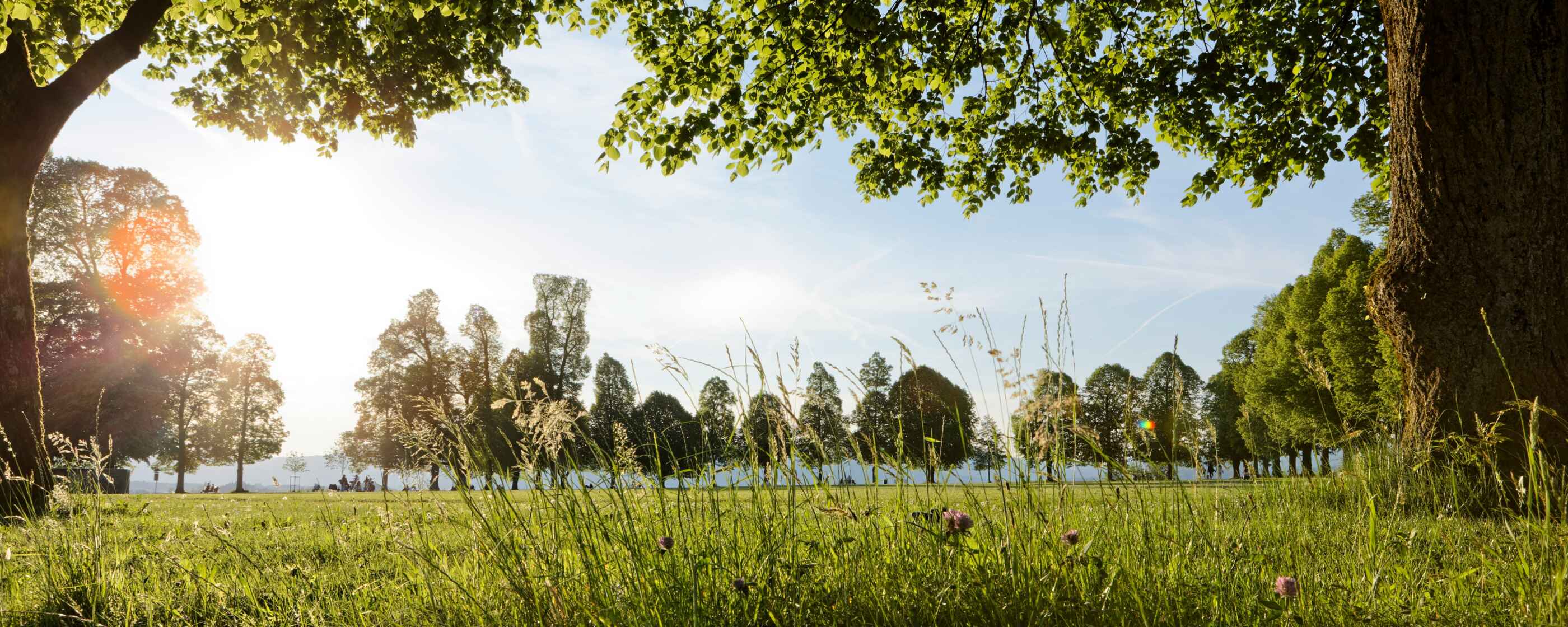 stefan-lehner-QyteQMTr2ZQ-unsplash