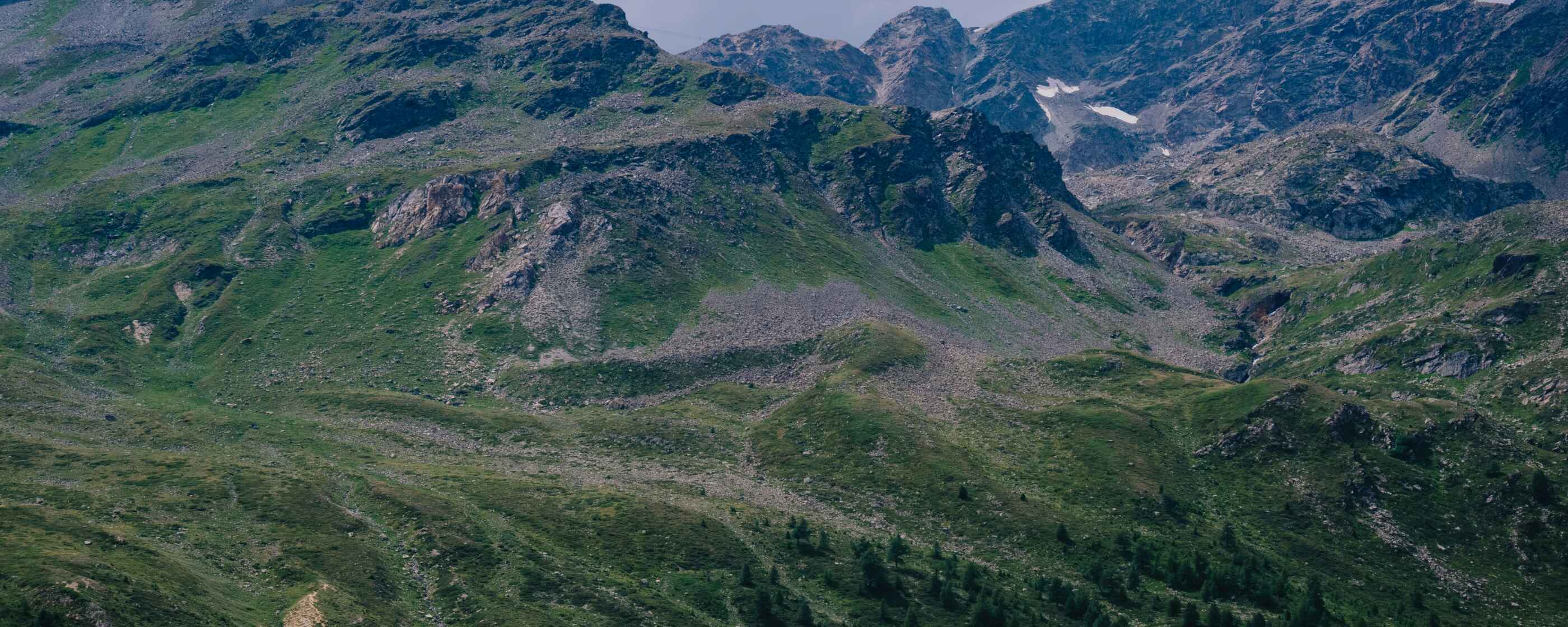 tofan-teodor-voGJILRUTxs-unsplash