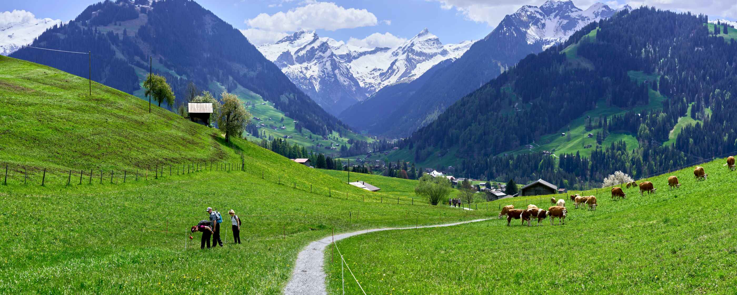 xavier-von-erlach-dRqtiQhH3Ww-unsplash