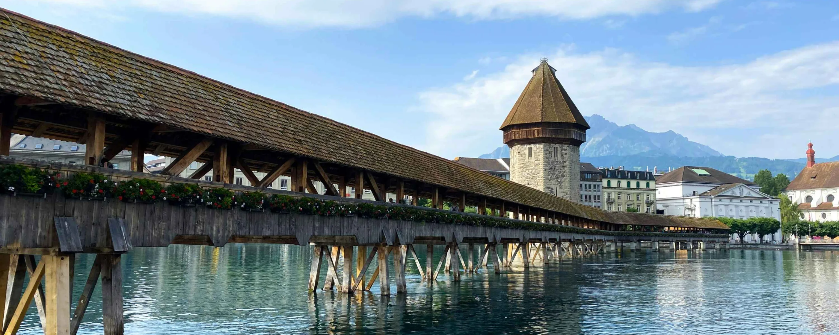 flora-hon-3nBSl4q7e70-unsplash